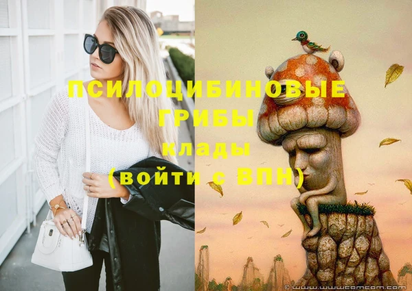 mix Абаза