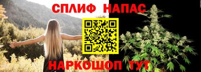 дживик Моздок