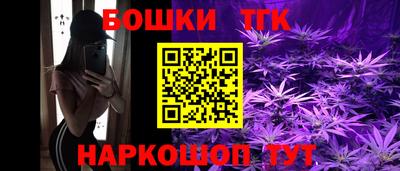 дживик Моздок