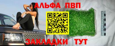 дживик Моздок