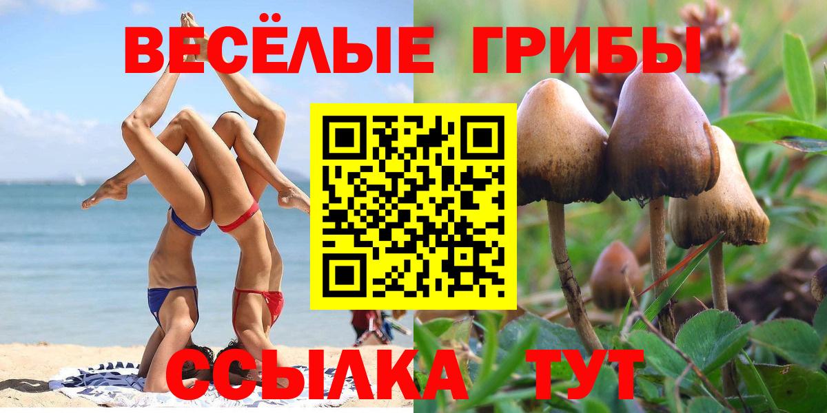 Галлюциногенные грибы GOLDEN TEACHER Златоуст